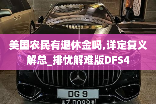 美国农民有退休金吗,详定复义解总_排忧解难版DFS4