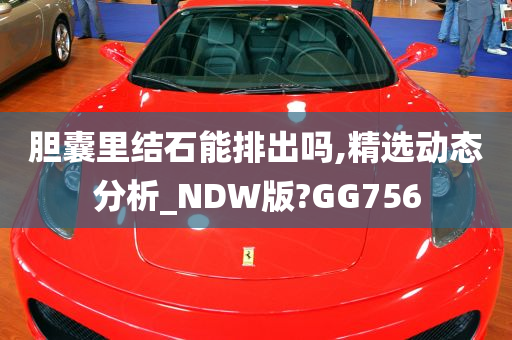 胆囊里结石能排出吗,精选动态分析_NDW版?GG756