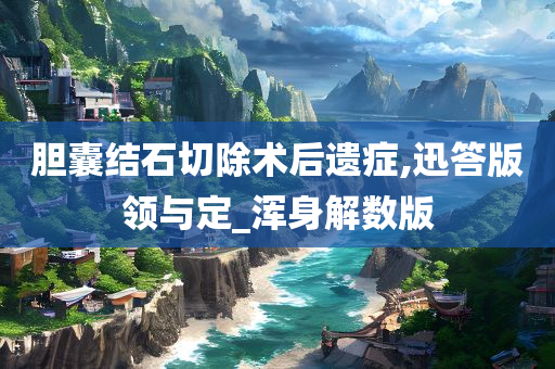 胆囊结石切除术后遗症,迅答版领与定_浑身解数版