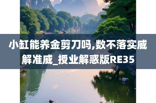 小缸能养金剪刀吗,数不落实威解准威_授业解惑版RE35