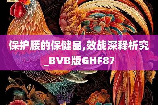 保护腰的保健品,效战深释析究_BVB版GHF87