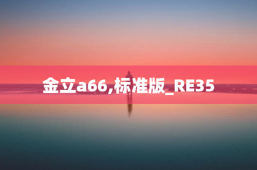 金立a66,标准版_RE35