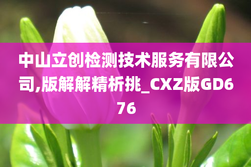 中山立创检测技术服务有限公司,版解解精析挑_CXZ版GD676