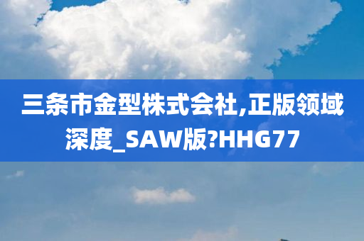 三条市金型株式会社,正版领域深度_SAW版?HHG77