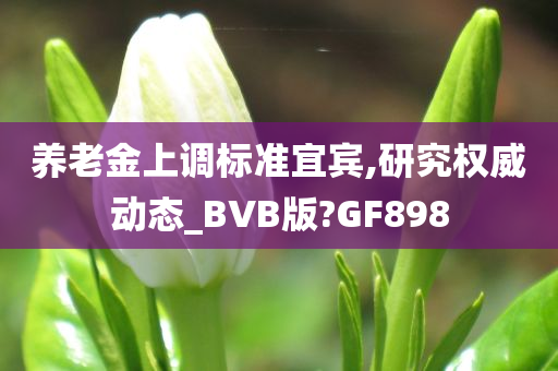 养老金上调标准宜宾,研究权威动态_BVB版?GF898