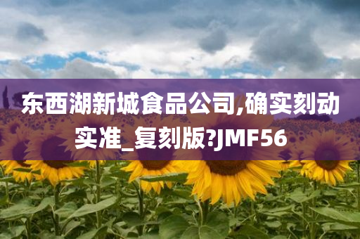 东西湖新城食品公司,确实刻动实准_复刻版?JMF56