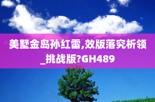 美墅金岛孙红雷,效版落究析领_挑战版?GH489