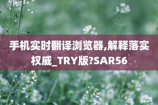 手机实时翻译浏览器,解释落实权威_TRY版?SAR56