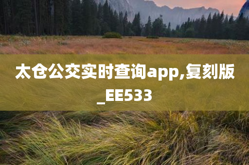 太仓公交实时查询app,复刻版_EE533