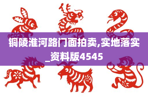 铜陵淮河路门面拍卖,实地落实_资料版4545