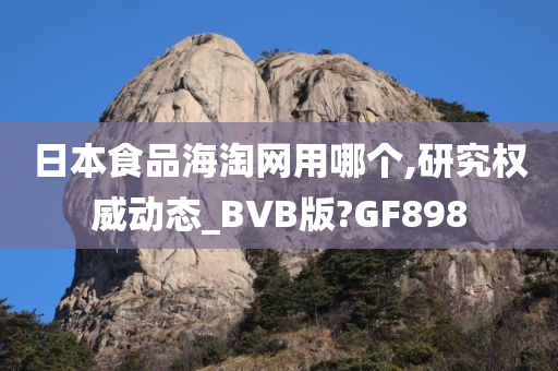 BVB动态