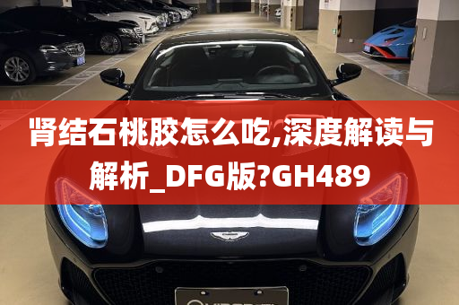 肾结石桃胶怎么吃,深度解读与解析_DFG版?GH489