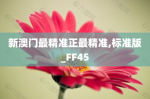 新澳门最精准正最精准,标准版_FF45