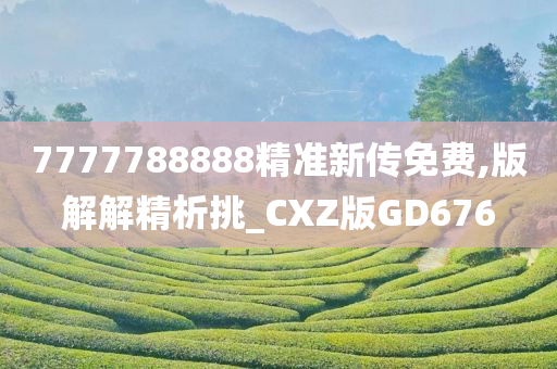 7777788888精准新传免费,版解解精析挑_CXZ版GD676