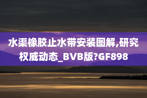 水渠橡胶止水带安装图解,研究权威动态_BVB版?GF898