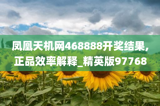 凤凰天机网468888开奖结果,正品效率解释_精英版97768