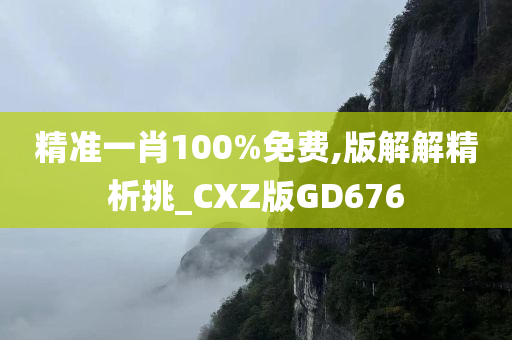 精准一肖100%免费,版解解精析挑_CXZ版GD676