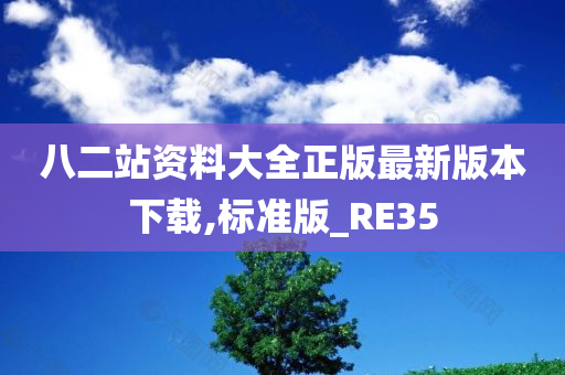 八二站资料大全正版最新版本下载,标准版_RE35