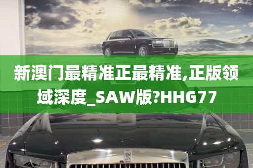 新澳门最精准正最精准,正版领域深度_SAW版?HHG77