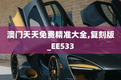 澳门天天免费精准大全,复刻版_EE533