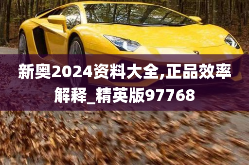 新奥2024资料大全,正品效率解释_精英版97768