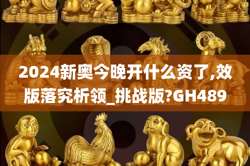 2024新奥今晚开什么资了,效版落究析领_挑战版?GH489