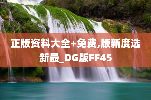 正版资料大全+免费,版新度选新最_DG版FF45