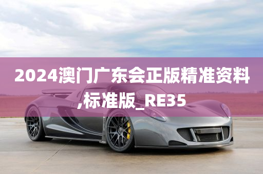 2024澳门广东会正版精准资料,标准版_RE35