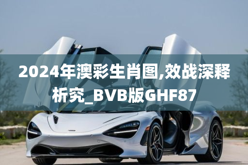 2024年澳彩生肖图,效战深释析究_BVB版GHF87