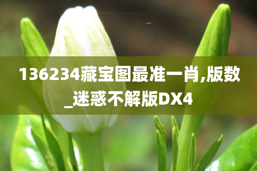 136234藏宝图最准一肖,版数_迷惑不解版DX4