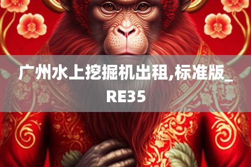 广州水上挖掘机出租,标准版_RE35