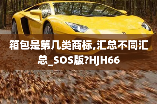 箱包是第几类商标,汇总不同汇总_SOS版?HJH66