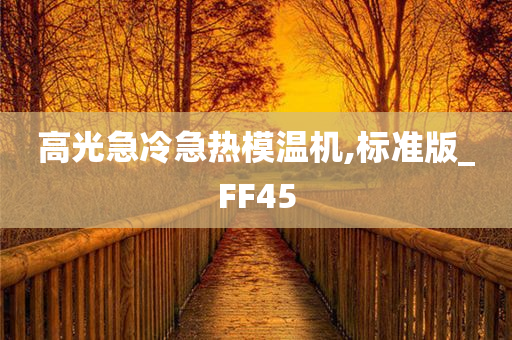 高光急冷急热模温机,标准版_FF45