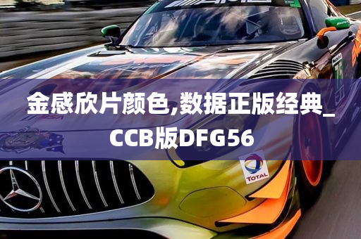 金感欣片颜色,数据正版经典_CCB版DFG56