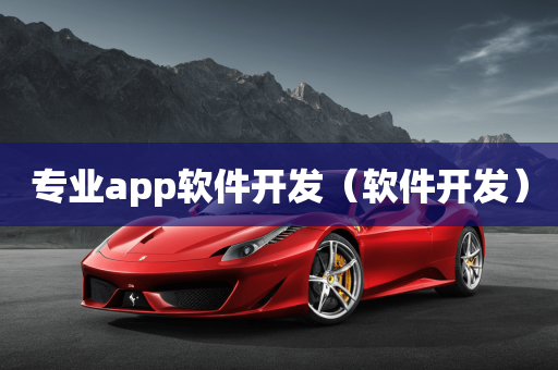 专业app软件开发（软件开发）