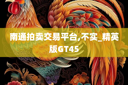 南通拍卖交易平台,不实_精英版GT45