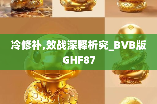 冷修补,效战深释析究_BVB版GHF87