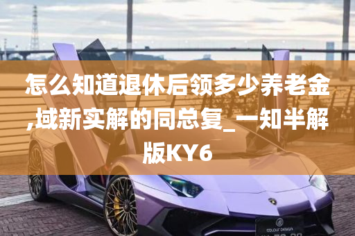 怎么知道退休后领多少养老金,域新实解的同总复_一知半解版KY6