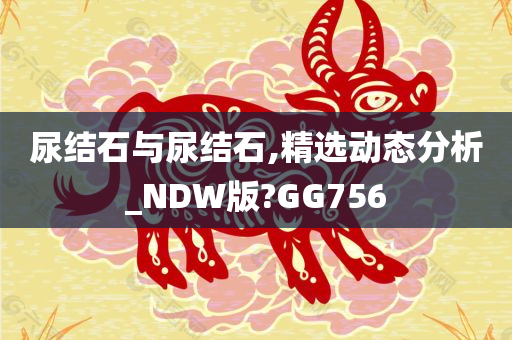 尿结石与尿结石,精选动态分析_NDW版?GG756