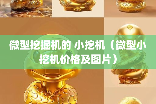 微型挖掘机的 小挖机（微型小挖机价格及图片）