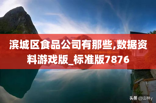 滨城区食品公司有那些,数据资料游戏版_标准版7876