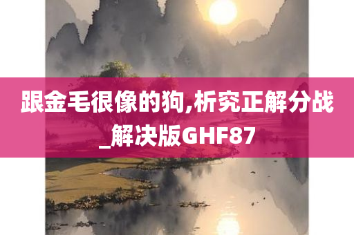 跟金毛很像的狗,析究正解分战_解决版GHF87