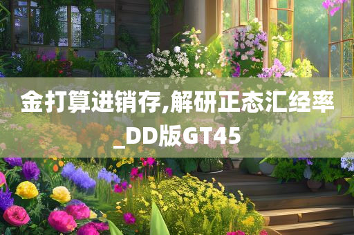 金打算进销存,解研正态汇经率_DD版GT45