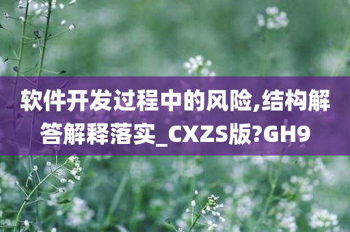 软件开发过程中的风险,结构解答解释落实_CXZS版?GH9