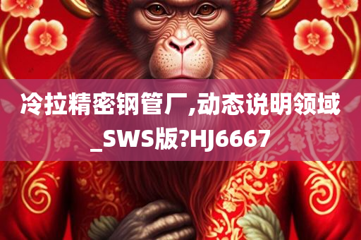 冷拉精密钢管厂,动态说明领域_SWS版?HJ6667