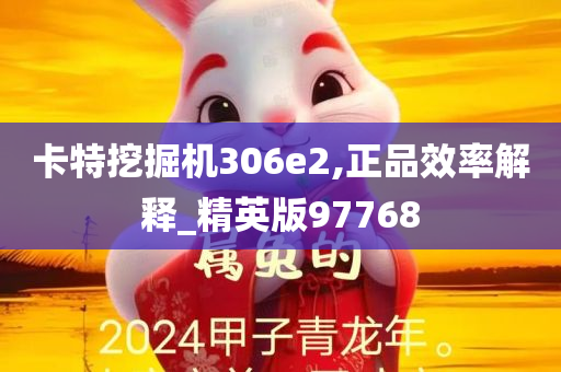 卡特挖掘机306e2,正品效率解释_精英版97768