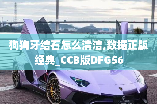 狗狗牙结石怎么清洁,数据正版经典_CCB版DFG56