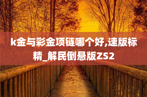 k金与彩金项链哪个好,速版标精_解民倒悬版ZS2