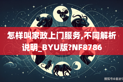 怎样叫家政上门服务,不同解析说明_BYU版?NF8786