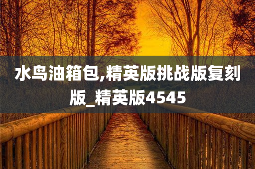 水鸟油箱包,精英版挑战版复刻版_精英版4545